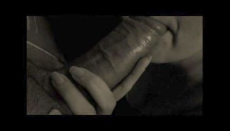 The Bucket List Cecilia Lion